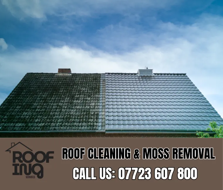 Roof cleaning and moss removal in Liskeard